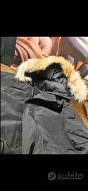 Canada Goose