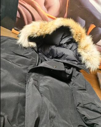 Canada Goose