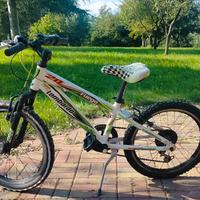 bicicletta bambino 