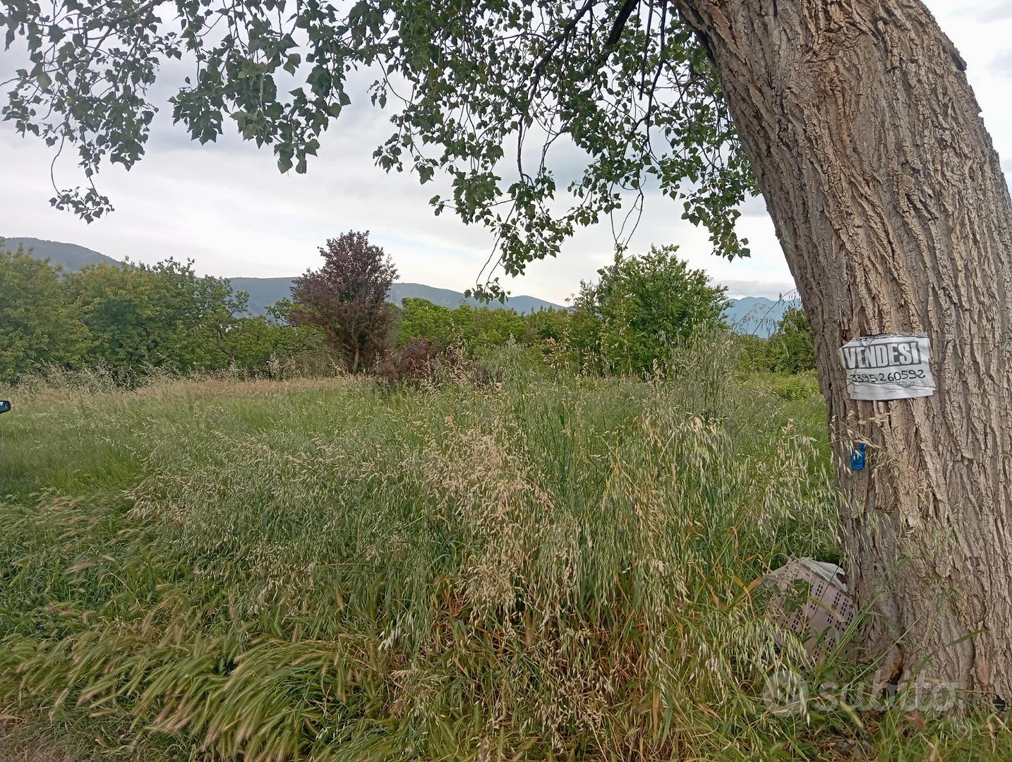 Terreno agricolo - View 3
