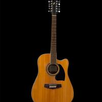 Chitarra 12 corde Ibanez