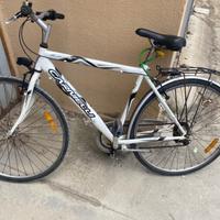 Bici da passeggio usata marca Carnielli