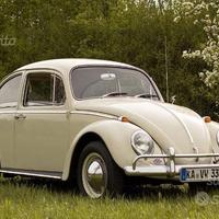 Parabrezza VW Maggiolino coupe dal 64 al 73