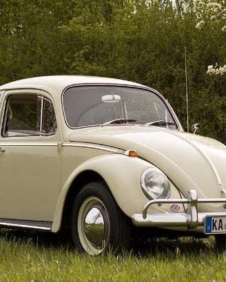 Parabrezza VW Maggiolino coupe dal 64 al 73