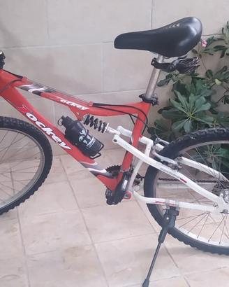 bicicletta mountain bike ammortizzata