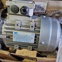 2 Motori Elettrici 0.75kW