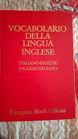 dizionario italiano inglese