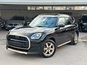 mini-countryman-d-favoured-trim-tetto-24