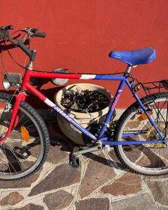 Bici atala