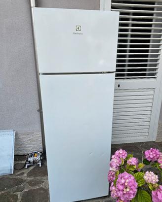 Frigo electrolux 