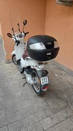 Aprilia Scarabeo 50