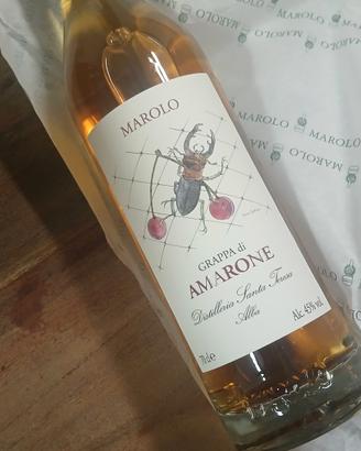 Grappe Marolo 