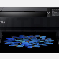 stampante SureColor SC-P900