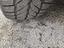 Immagine 21