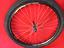 Immagine 3