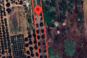 2 terreni da 7.000mq