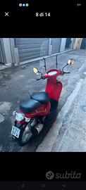 Scarabeo