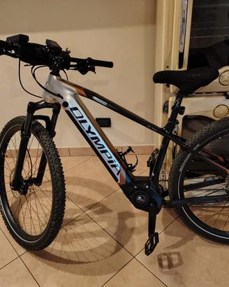 MTB assistita Olympia 900Wh