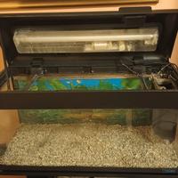 Acquario 80 lt