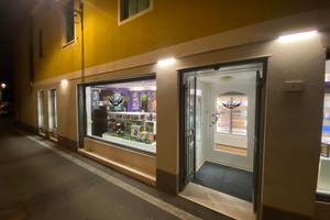 Attività negozio Manga e Comics