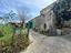 Immagine 25
