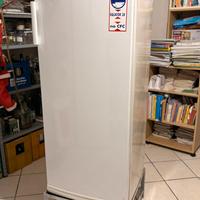 Congelatore verticale