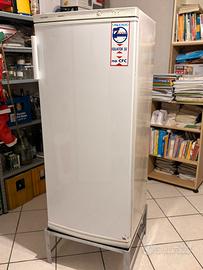 Congelatore verticale