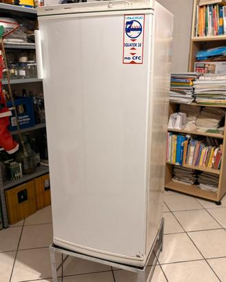 Congelatore verticale