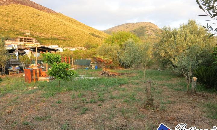Terreno agricolo - Fondi