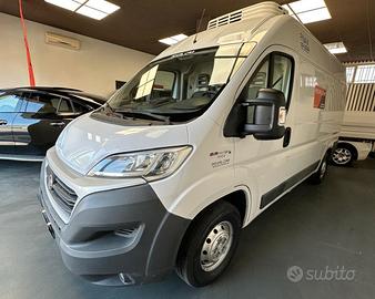 Fiat Ducato Frigo