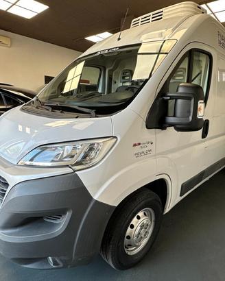 Fiat Ducato Frigo