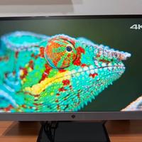 Schermo pc HP pavilion22