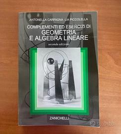 Libro complementi ed esercizi di Geometria