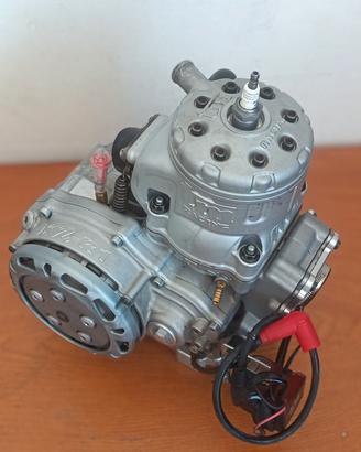 motore kart tm kz r1 