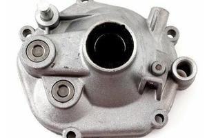 Coperchio ingranaggi trasmissione Puch 440113