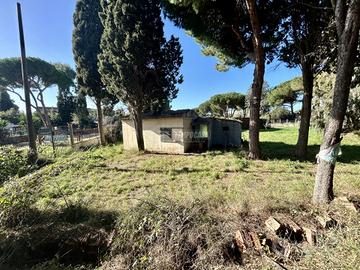 Soluzione indipendente con ampio giardino