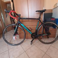 Bici Bianchi Freccia Celeste