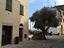 Immagine 19