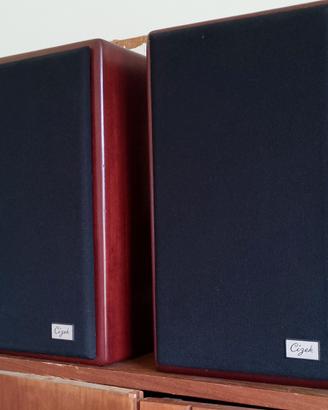 Cyzek HTA AR2