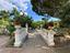 Immagine 7