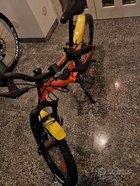 bicicletta
