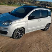 panda 1.3mjet 75cv diesel