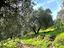 Immagine 13