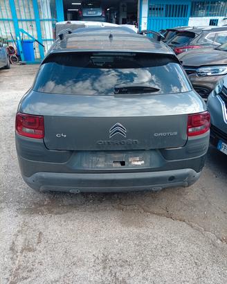 ricambi c4 cactus 