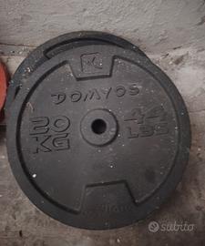 Kit manubri e pesi da palestra 