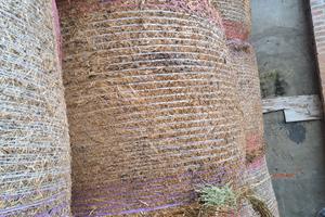 medica  secondo e terzo taglio