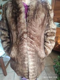 Pelliccia di Castoro