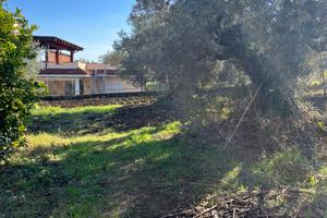 Terreno 6500 mq di cui 1500 mc edifificabili