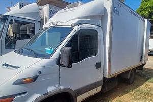 Daily trasporto carni