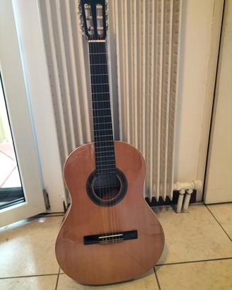 musicale chitarra 